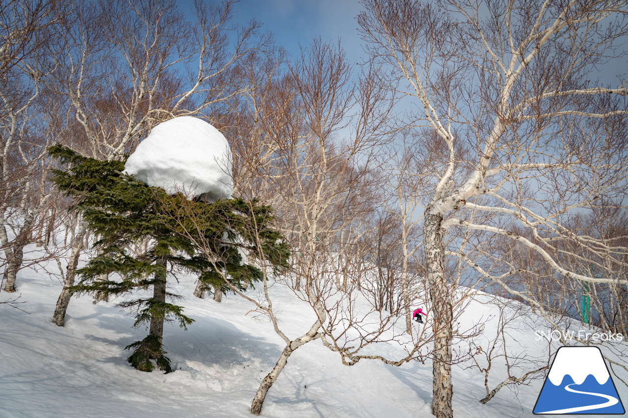 サッポロテイネ｜山頂積雪 285cm！絶好の春コンディションのゲレンデは、『アルペンスキー大会』『モーグル大会』『テイネ雪山祭り』『北海道米そり選手権2026』で大盛り上がり～(^^)v